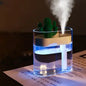 Clear Cactus Humidifier